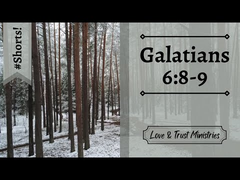 Never Weary of Doing Good! | Galatians 6:8-9 | November 20th | Rise and Shine Shorts