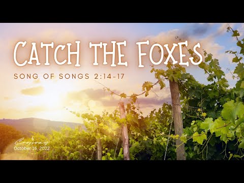 Catch the Foxes (Song of Songs 2:14-17) - October 16, 2022