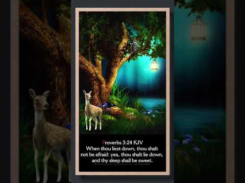 VIDEO BIBLE VERSE.    PROVERBS 3:24