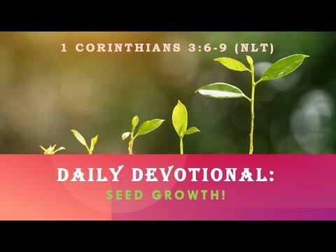 Daily Devotional | Seed Growth | 1 Corinthians 3:6-9