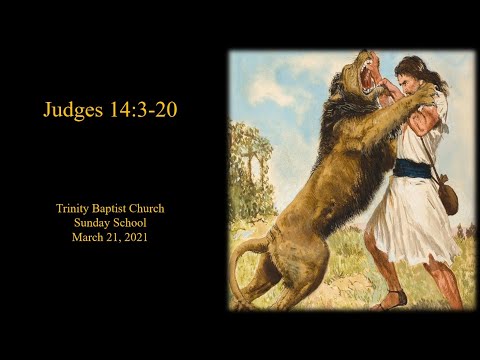 Judges 14:2-20