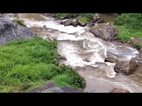 Isaiah 58:11|A Well-watered Garden|English|Cartoon Bible Verse #11