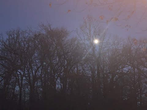 Coffee Break.(5 Minutes with God) Romans 1:21-23