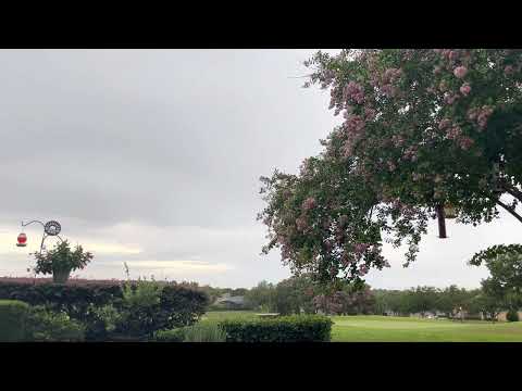 Day 186~ July 5~ 1 Chronicles 1:1-2:17, Acts 23:11-35, Psalm 3:1-8, Proverbs 18:14-15