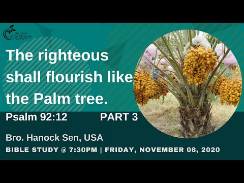 Bible Study | Psalm 92:12 | Bro. Hanock Sen, USA | 6th November 2020