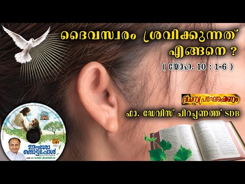 12. How to Hear God's Voice ( John 10:1-3 ) by Fr.Davis Cherapanath SDB.