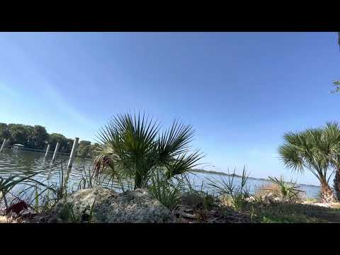 Day 231~ August 19~ Esther 4:1-7:10, 1 Corinthians 12:1-26, Psalm 36:1-12, Proverbs 21:21-22