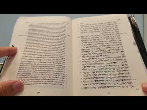 Daily Bible Reading - Leviticus 23:33 - 25:29