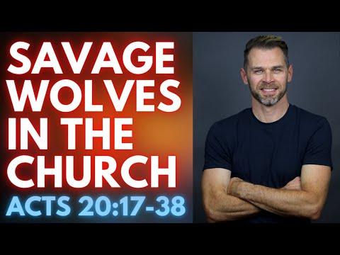 Savage wolves in the Church | ACTS 20:17-38