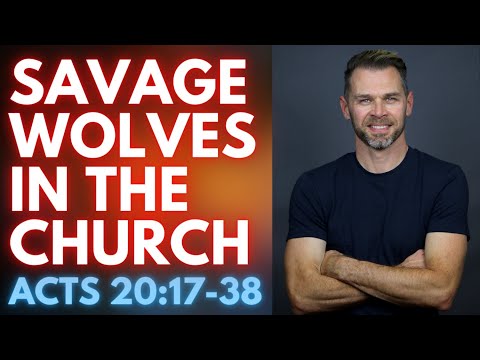 Savage wolves in the Church | ACTS 20:17-38