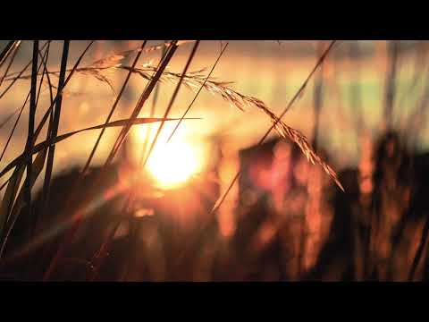 Guided meditation – Matthew 14:1 – 12: The Beheading of John the Baptist