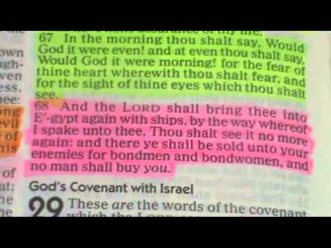 PT1 Breakdown Of Isaiah 11:9-12!