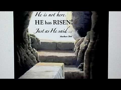 ????????A Possible Sign Of The Season ???? Daniel 12:2