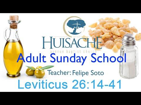 Leviticus lesson 38 | Felipe Soto | Leviticus 26:14-41