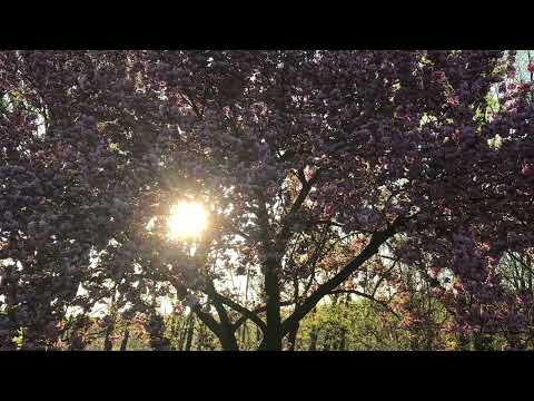 Eternal Life... John 3:14-17, 12:30-32