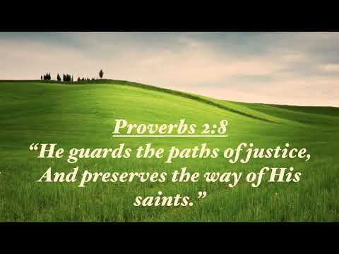 God preserves us in His way - Proverbs 2:8 - #proverbplatypus