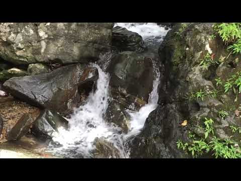 The Book of Proverbs 8:23-36 NKJV/TPT | JESUS Christ in Proverbs | Master Artist | Keith Brotherson