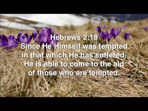 Hebrews 2:18 (Promise)