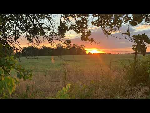 Coffee Break   (5 Minutes with God) Psalm 119:111-113