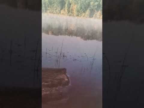 Jethro counsels Moses to appoint judges Exodus 18:13-27