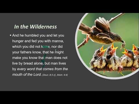 Deuteronomy 8:1 - 20