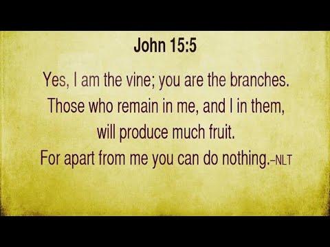 John 15:5, NKJV | John 15 I am the True Vine You are the Branches In Me you will Bear Much Fruit