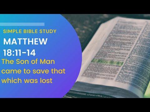 Matthew 18:11-14: The Son of Man came to save that which was lost | Simple Bible Study