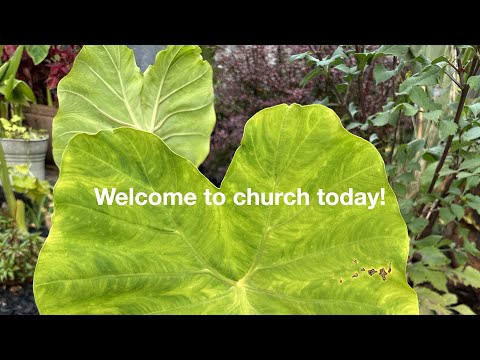 Sermon James 2:14-26 Sunday Oct 15, 2023