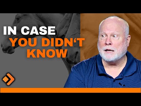 The FOUR HORSEMAN of the APOCALYPSE: Book of Revelation Explained 23 (Revelation 6:3-4)