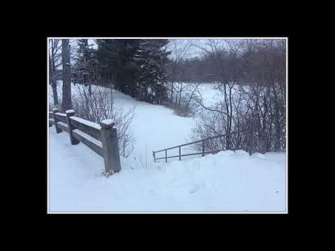 Scripture Verse By Verse (2022) First Kings 1:28-53