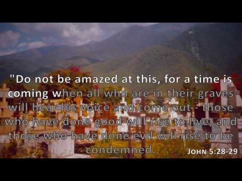 John 5:28-29, Holy Bible, NIV