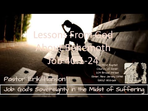 7-18-21 PM Job 40:1-24 Lessons From God About Behemoth