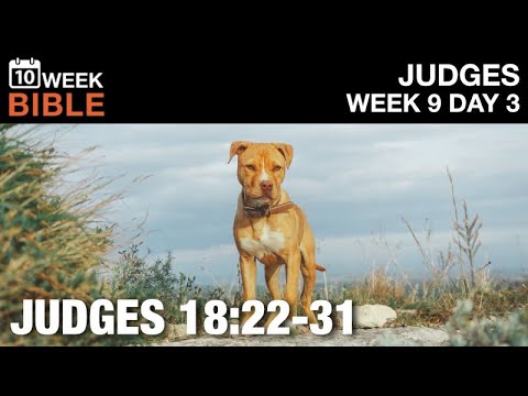 The Danites Are Bullies | Judges 18:22-31 | Week 9 Day 3