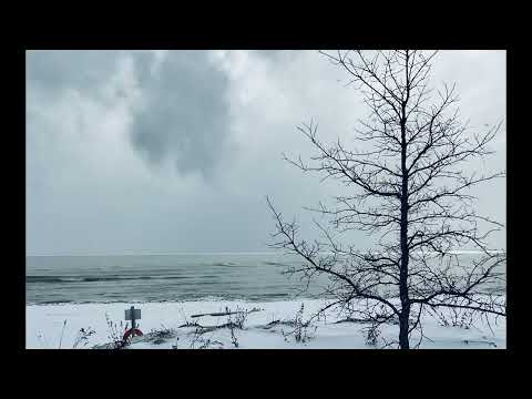 Scripture Verse By Verse (2022) Second Kings 9:13-26