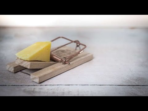 The Enemy Is Not your Friend  -Scripture from the Lord- Isaiah 39:3-7