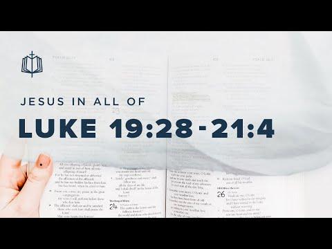 THE KING OF PEACE | Bible Study | Luke 19:28-21:4