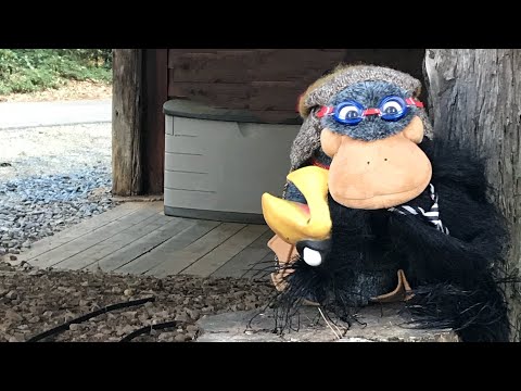 Love your enemy - Luke 6:27-28