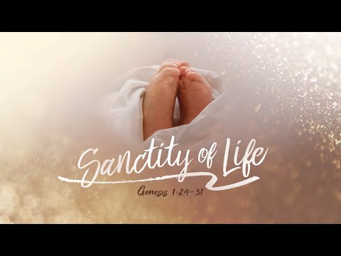 Sanctity of Life Sunday | Genesis 1:24-31