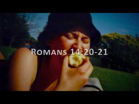 Romans 14:20-21, Holy Bible, NIV