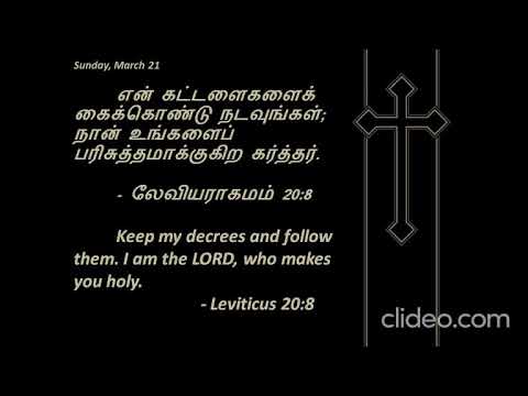 Leviticus 20:8