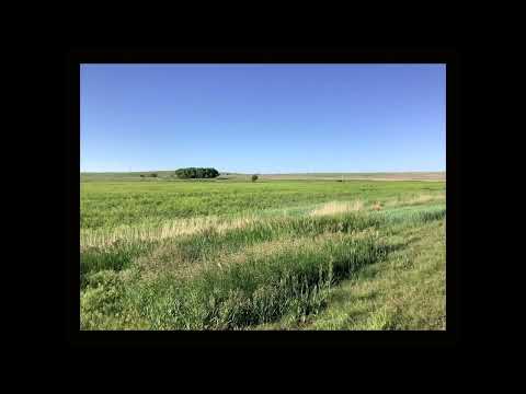 Coffee Break (5 Minutes with God) Psalm 33:11-14