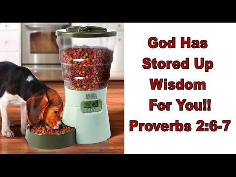 God Has Stored Up Wisdom For You!! (Proverbs 2:6-7) 7.3
