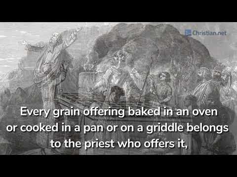 Leviticus 7:1 - 21: Aaron&#39;s Guilt Offering and Fellowship Offering | Bible Stories