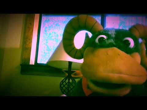 Being Content with Pauly the Platypus - 1 Timothy 6:6-7