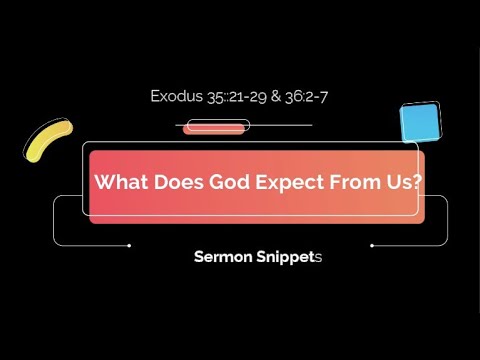What Does God Expect from Us? – Exodus 35:21-28 & 39:2-7-Sermon Snippet–8/1/22