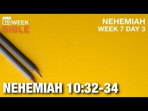 Responsibility | Nehemiah 10:32-34 | Week 7 Day 3 Study of Nehemiah