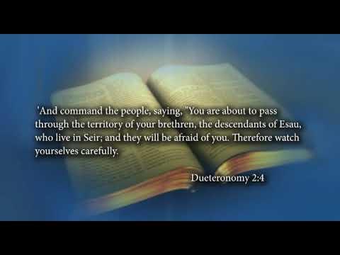 Deuteronomy 2:1-3:29, Feb. 6, 2022: Go Up to Pisgah