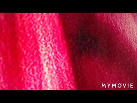 ISAIAH 42:5-15 PROPHETIC WORD BY APOSTLE DR. ESTHER JOY