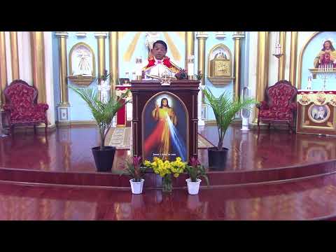 Homily on Luke 17:11-19 by Fr. Abraham Mutholath at SHKC Church Chicago on August 12, 2018.