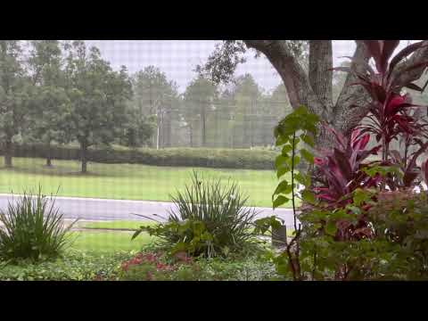 Day 199~ July 18~ 1 Chronicles 26:12-27:34, Romans 4:13-5:5, Psalm 14:1-7, Proverbs 19:17